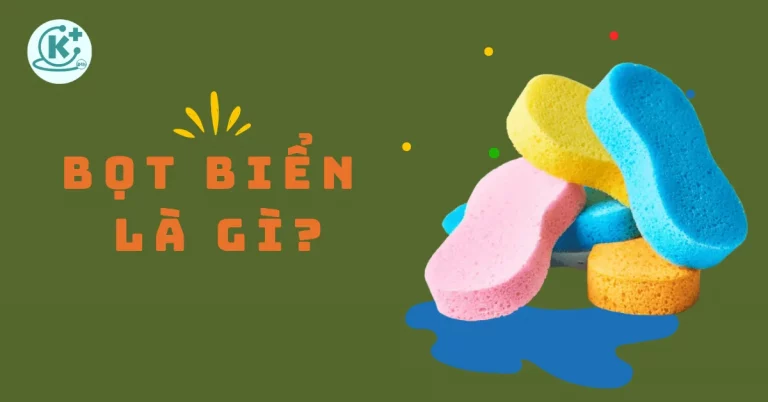 bọt biển là gì