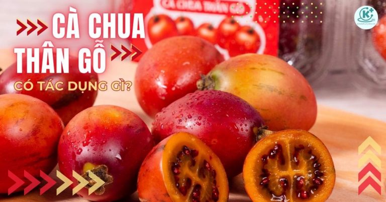 cà chua thân gỗ có tác dụng gì