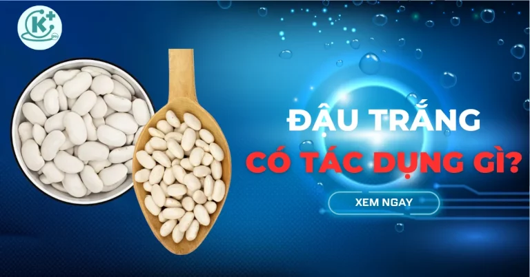 đậu trắng có tác dụng gì