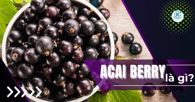 acai berry là gì