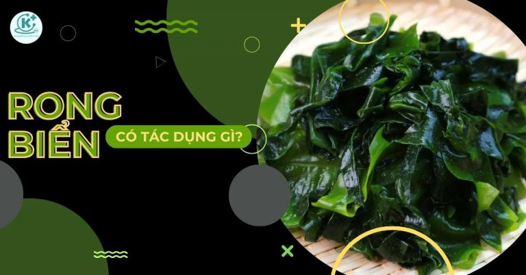 rong biển có tác dụng gì