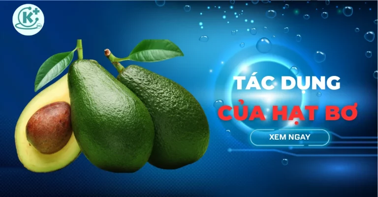 tác dụng của hạt bơ