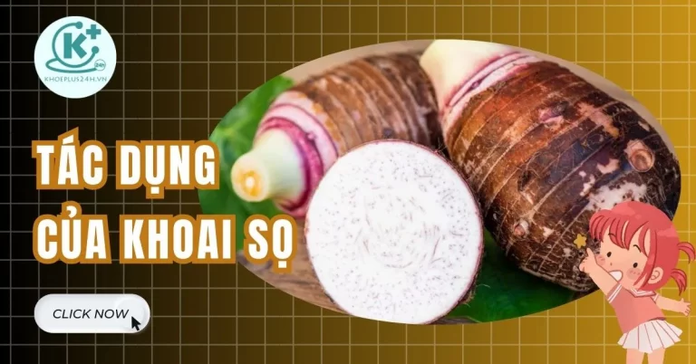 tác dụng của khoai sọ