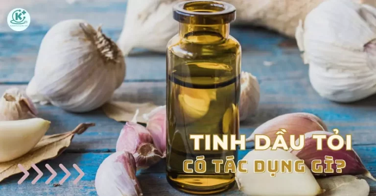 tinh dầu tỏi có tác dụng gì