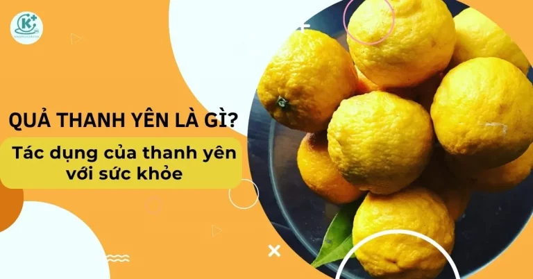 thanh yên là quả gì