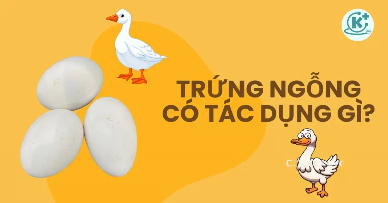 trứng ngỗng có tác dụng gì