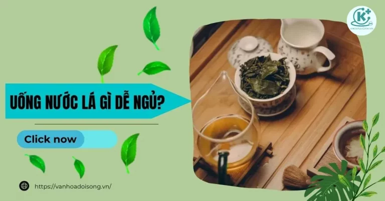 uống nước lá gì dễ ngủ