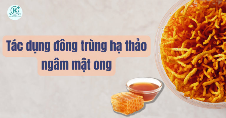 Ngâm đông trùng hạ thảo cùng mật ong