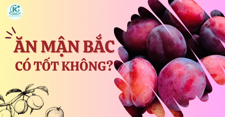 Ăn mận bắc có tốt không? Những lưu ý khi ăn để không gây nóng