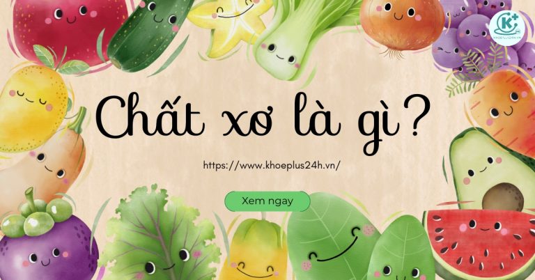 Chất xơ là gì? Có mấy loại? Vai trò của chất xơ với sức khỏe