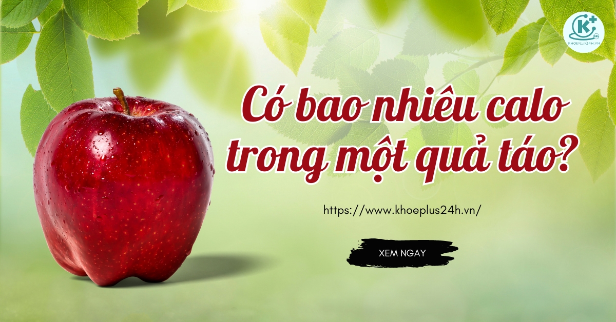 Có bao nhiêu calo trong một quả táo? Ăn táo có béo không?