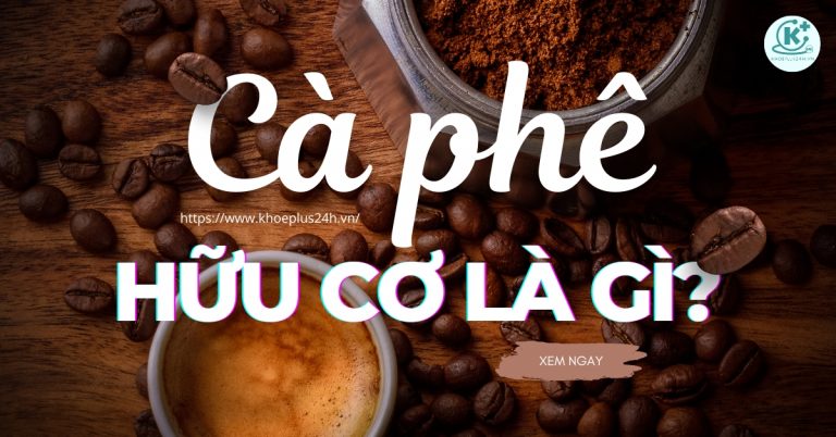 Cà phê hữu cơ là gì? Có tác dụng gì? Mua cà phê hữu cơ ở đâu?