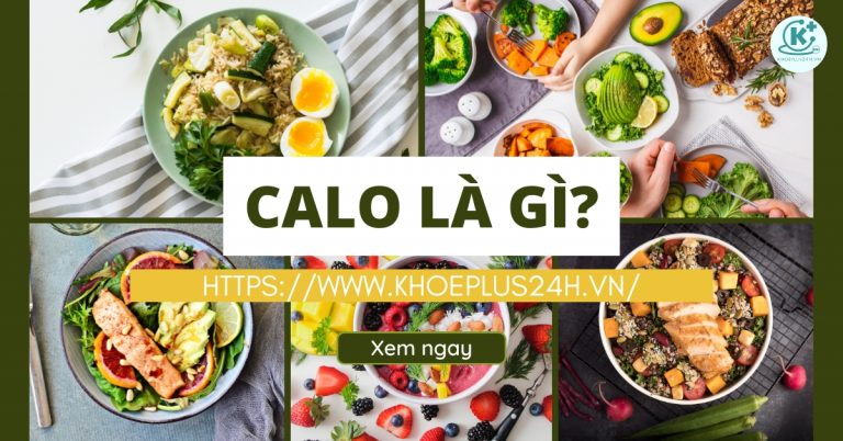 Calo là gì? Cách tính calo trong thức ăn hiệu quả cho cơ thể