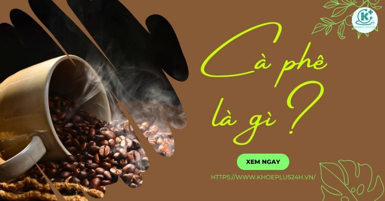 Cà phê là gì? Các loại cà phê ở Việt Nam và cách thưởng thức